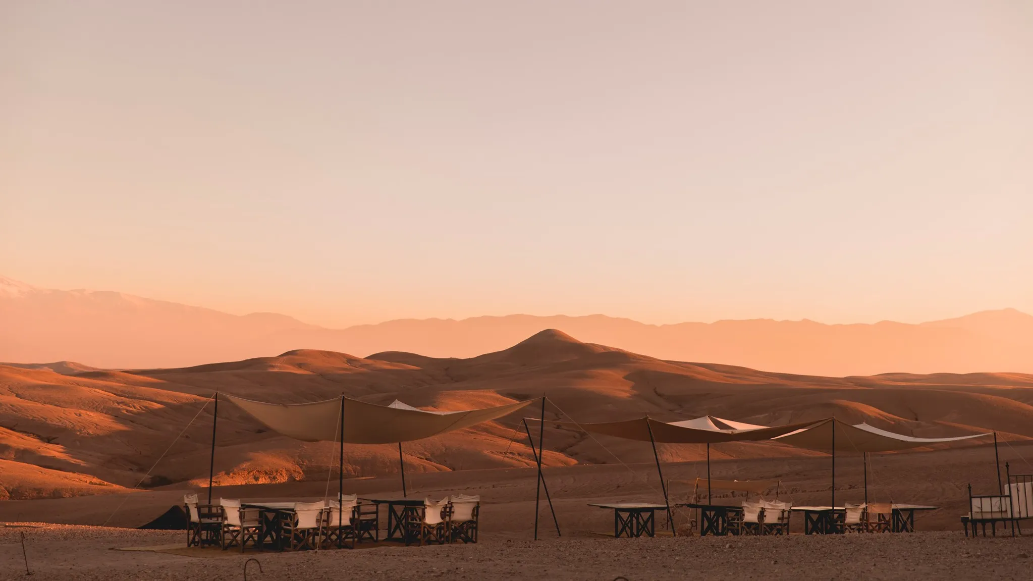 A Night Under the Stars in the Sahara