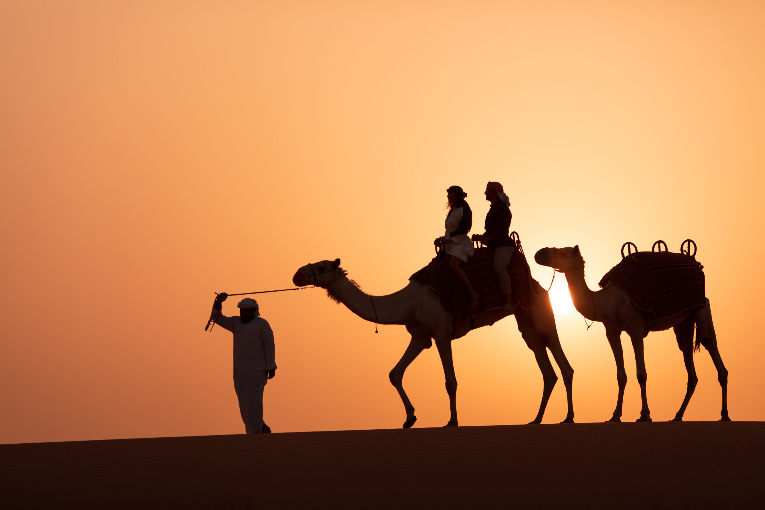 Camel Trekking in the Sahara: An Unforgettable Experience